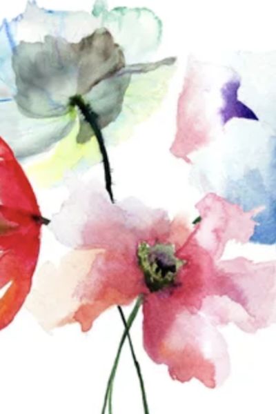 funérailles Auderghem