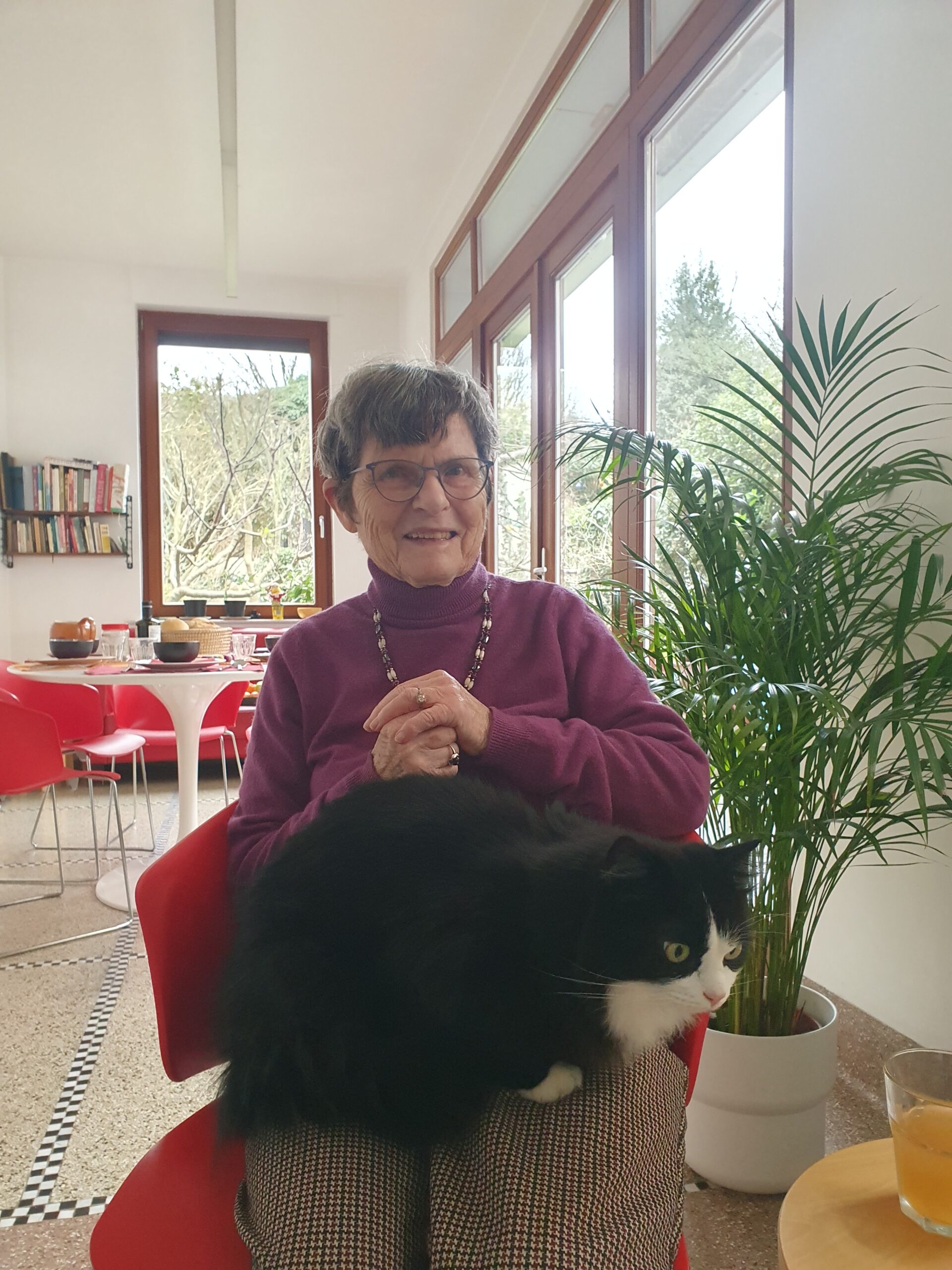 euthanasie auderghem